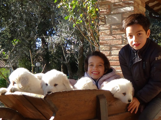 Il Maremmano Abruzzese Casa dolce casa_JacoponeDaTodi_1