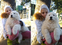 I nostri cuccioli