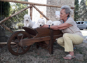 I nostri cuccioli