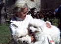 Cuccioli di Maremmano Abruzzese avanti alla storica direzione dell'allevamento
